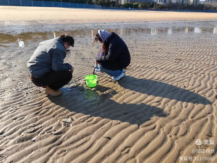 威海九龙湾海边拾趣一一 赶海的人
